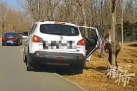 惊险一幕，狼来了！野生动物园妈妈擅自抱孩子下车小便……图片