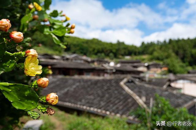 走遍福建古村落，罗源狮子峰下，四百年畲族古村，蓝姓家族发源地
