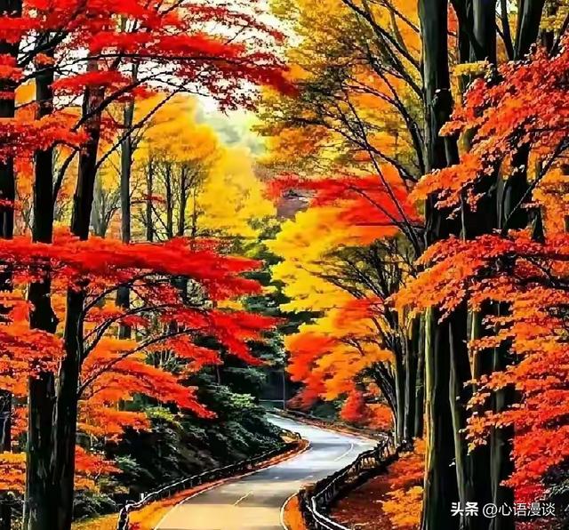 两性关系：女人暗示你可以“泡她”的6个信号	，男人别再装傻了