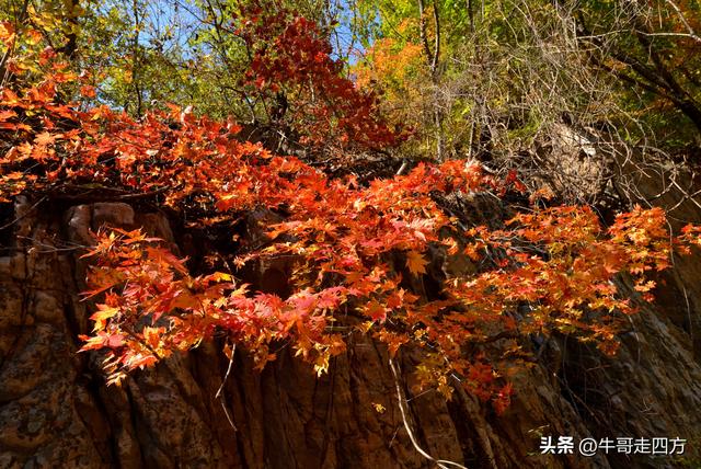 辽阳核伙沟（上）：百里锦绣廊、东北小黄山
