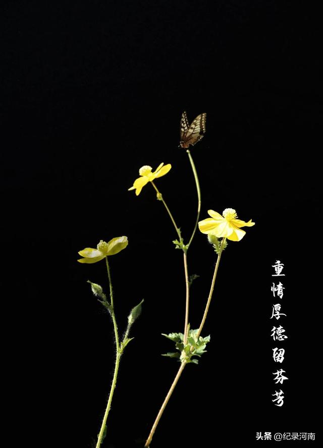 是时候恢复主流媒体的舆论监督力度