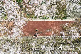 阳泉“春花烂漫 古韵新生”线路入选文旅部“花期乡遇”主题乡村旅游精品线路图片