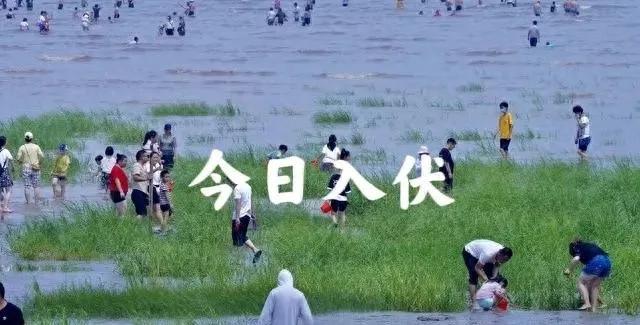 秋老虎猛不猛，就看入伏”，今日入伏，今年立秋后还要热多久？