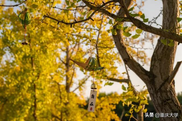 重大限定皮肤上新，超出片！🤳
