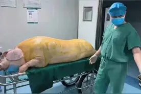 山东8岁女孩皮肤大片脱落，被告知无药可治，最后却被一只猪拯救图片
