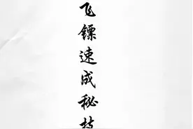 暗器绝技之飞镖速成秘技图片