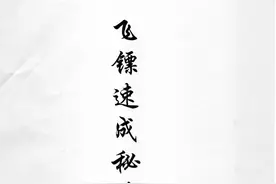 暗器绝技之飞镖速成秘技图片
