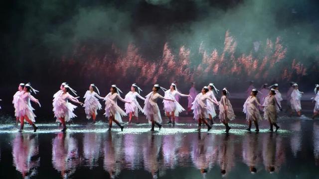 逛不停的茶博会|我们都超期待的茶博会逛展攻略，它来了！