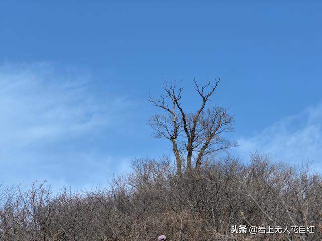 长城徒步之96：赤城上堡村至红泉沟村长城，赏长嵯之落日