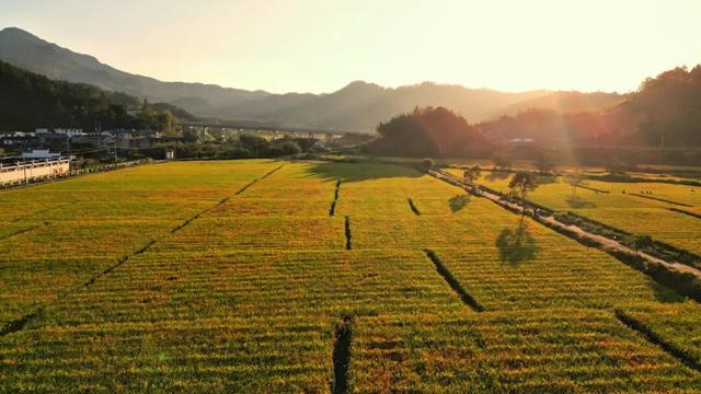 秋天武夷山给你一点颜色瞧瞧