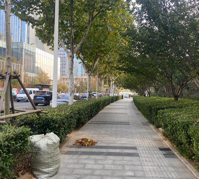 法国姑娘来中国旅游，回国哭了3天，坦言法国与中国差距一目了然