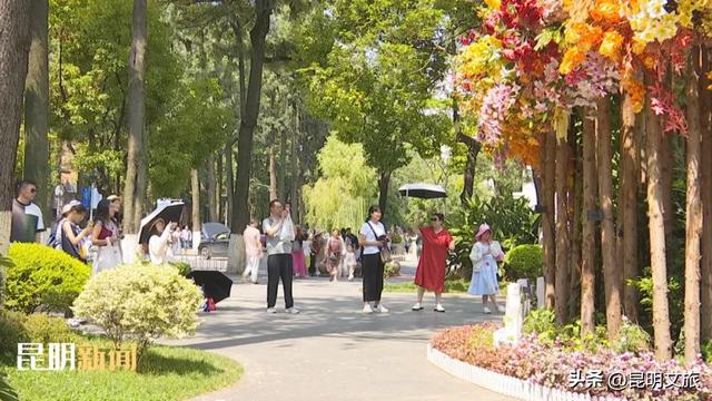 逃离“火海”!昆明凉爽气候引来各地游客,这个“私藏空调房”等你打卡