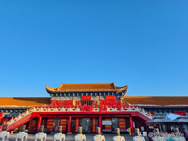 新疆乌鲁木齐红光山大佛寺