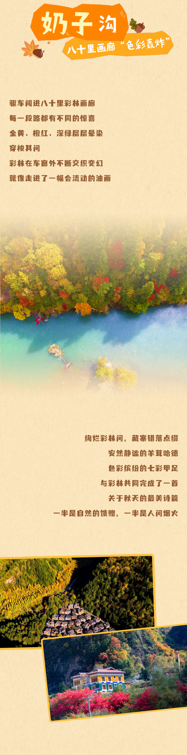 别等了！黑水彩林已上色，第一波惊艳等你接收！