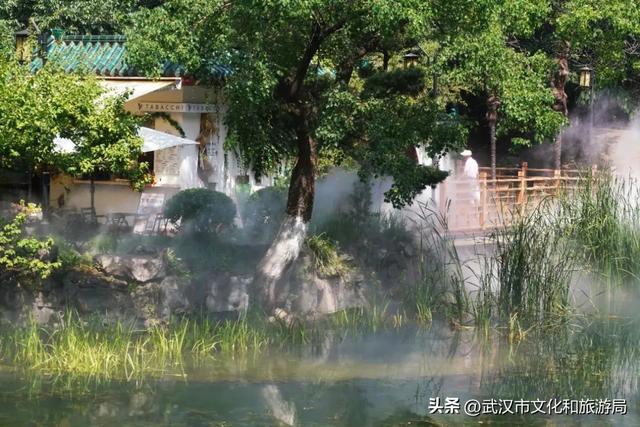 直降5℃！中山公园开“中央空调”了