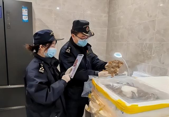 万万没想到！韩国破获最大走私案，团伙偷偷运的却是中国农产品？