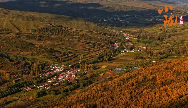 【小陇画报·428期】秋日康乐 每一步都走在金色油画里