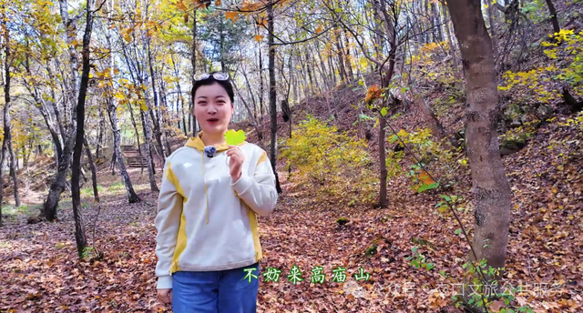 和交口的五彩斑斓撞个满怀！