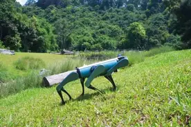 深圳一周丨各区书记区长在忙啥？（7月7日-7月13日）图片