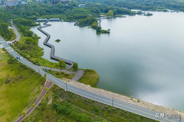 河南信阳的龟山湖景区不仅能免费玩，还能免费露营和摘板栗