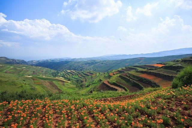 甘肃秋日限定丨三色交织的视觉盛宴，邂逅最诗意的陇原！