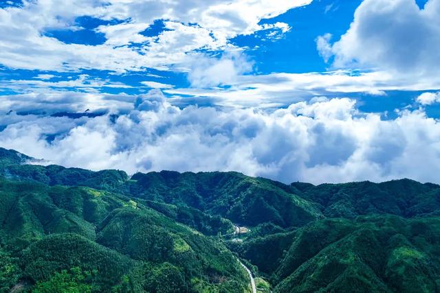 走，去屏边！