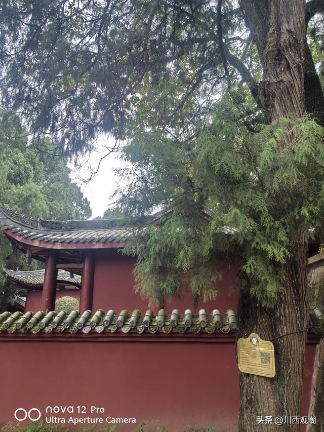 梓潼卧龙山千佛崖