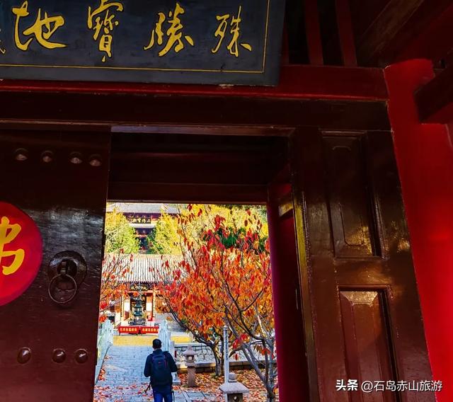 赤山观叶录：一片红叶见山海