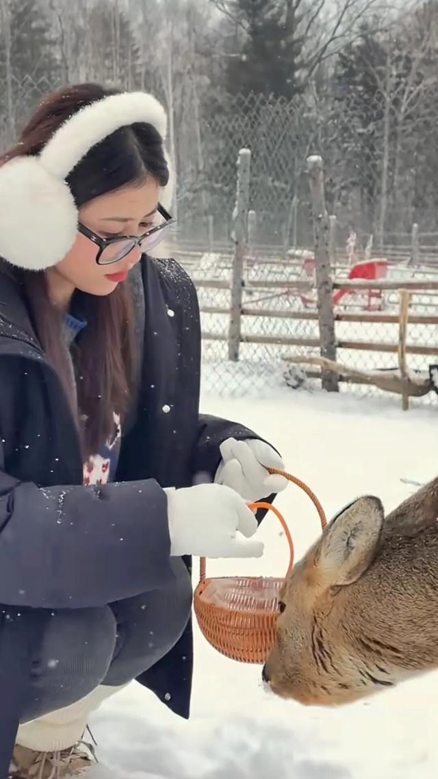 《疯狂动物城》之冰川镇竟撞脸呼伦湖！