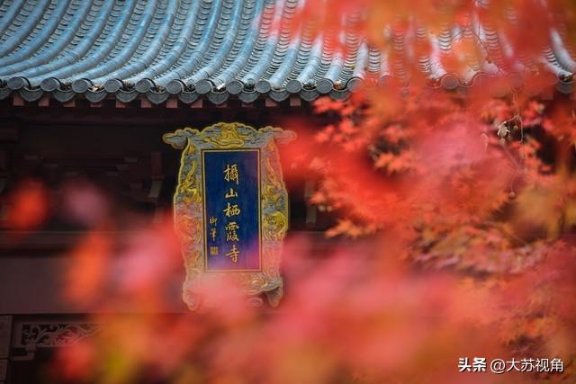 南京的浓颜是枫叶林给的！18个机位+时间点，避开人潮拍出大片