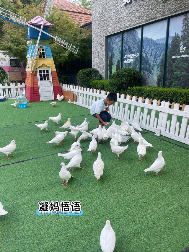 家门口的旅行：带娃溜达一天，寻常的角落，惊喜和收获满满当当！