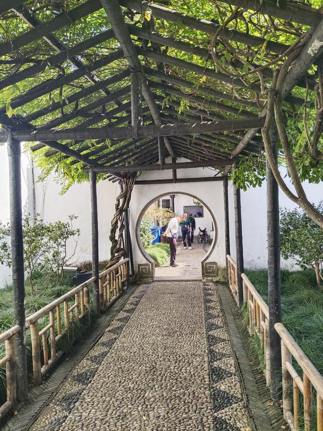 踏入苏州拙政园才懂得什么叫“一园藏尽江南梦”