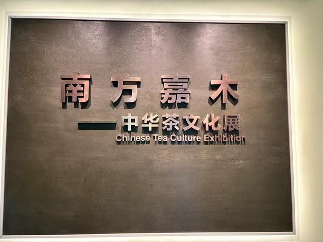 杭州小众游玩路线,茶叶博物馆和浙江美术馆半日游,建议收藏