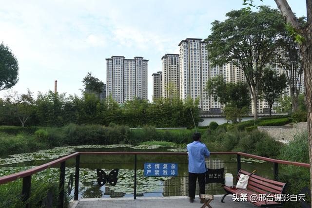 五一桥公园：藏在城市里的江南梦境