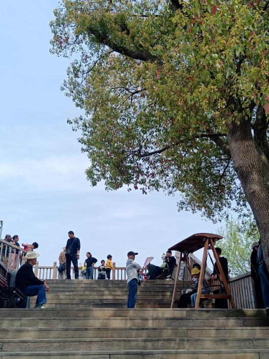 藏不住了！安庆太湖的冬日，动静皆是惊艳