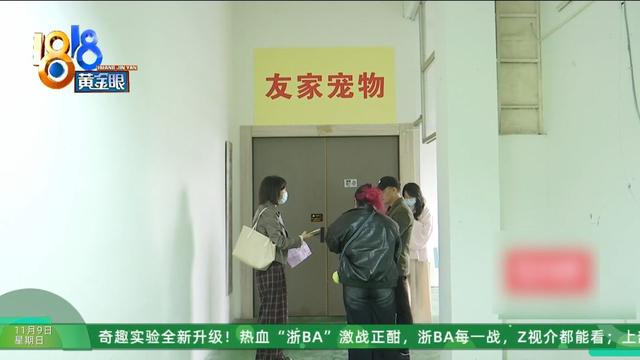 怎么又是这？她还拿出视频，里面“一动不动”，停了几只苍蝇....