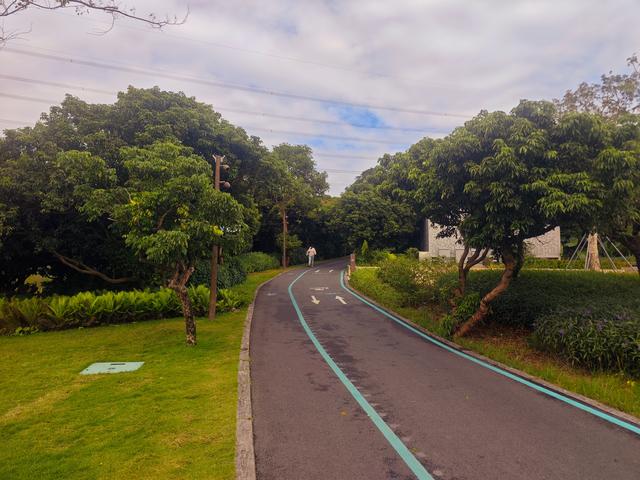 环西丽湖绿道骑行慢行随拍-动个好奇心