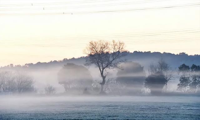 超仙！无锡今年首次出现“矮脚雾”