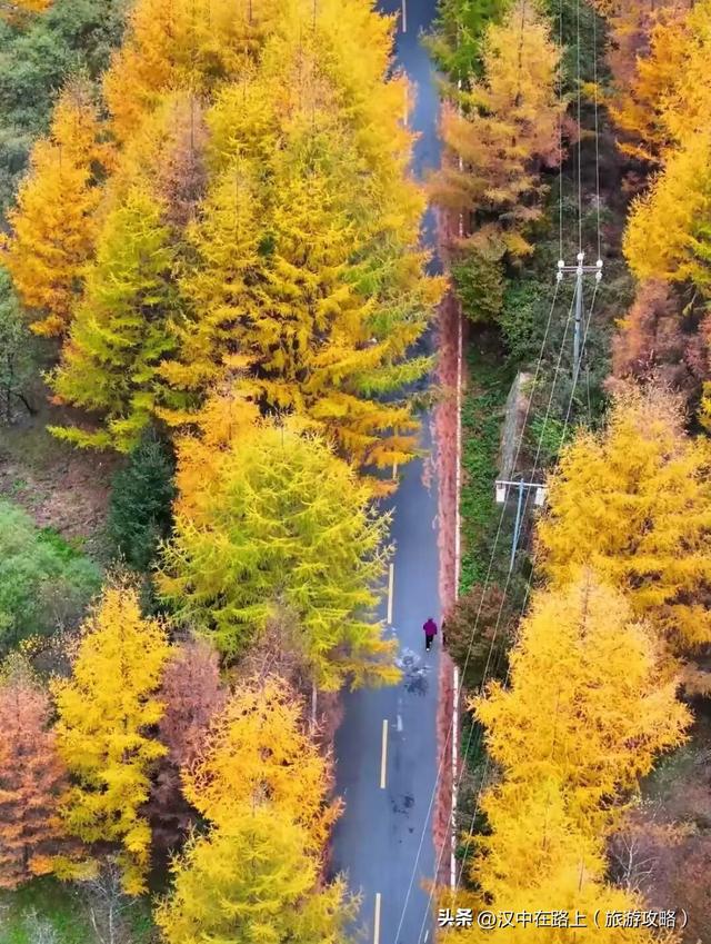 你的黎坪门票，在留坝还能这样用？紫柏山免费等你登顶！