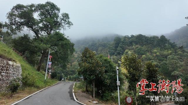 我为峰途丨岐山：凤形山势隐葱茏，登高此境忘尘缨