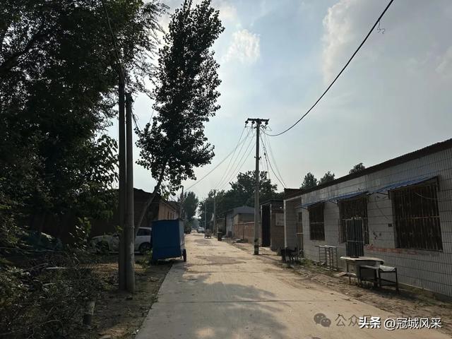 冠县乡韵·辛集镇丁刘八寨