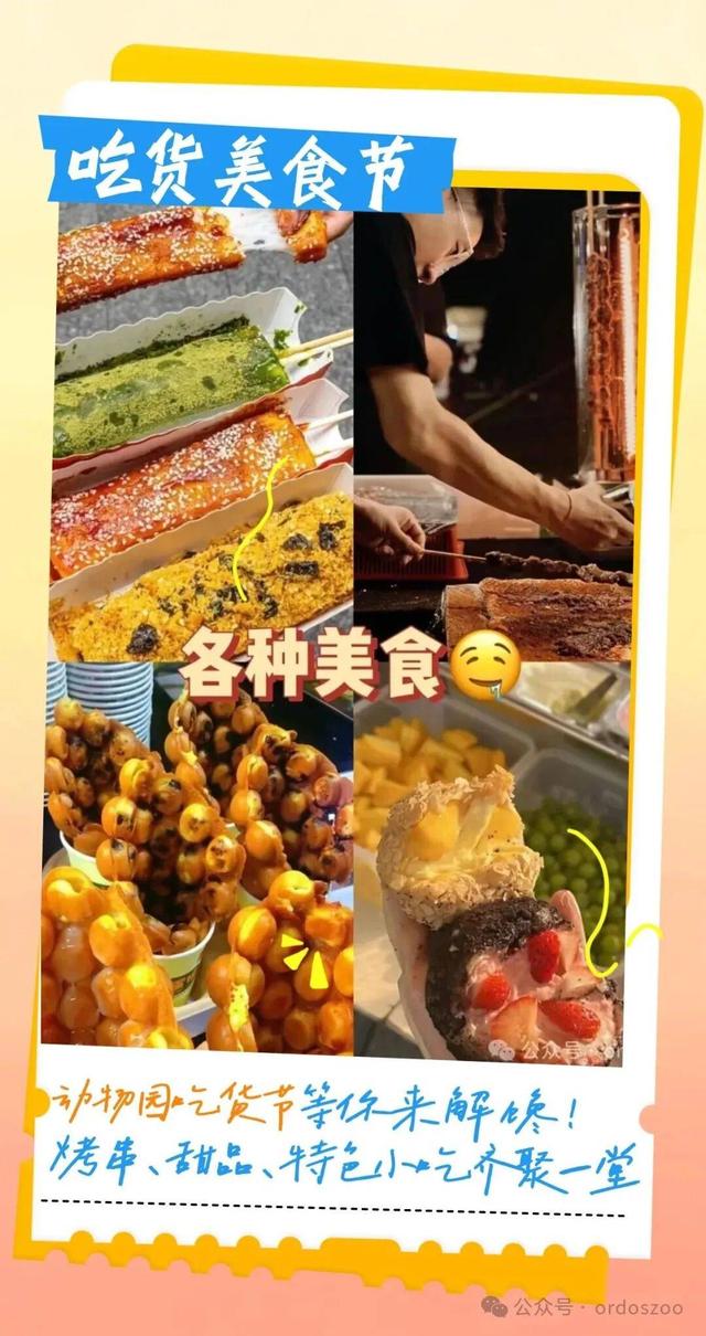 国庆遛娃，八天玩出新鲜感~