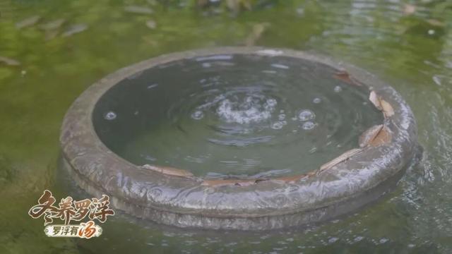 “冬养罗浮”康养品牌发布！在引领区过冬是怎样一种体验？