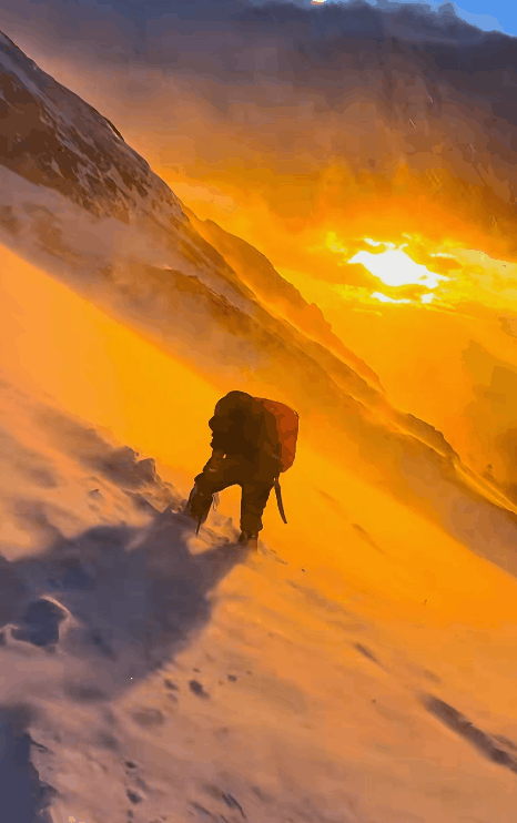 禁不住，这都第几个热搜了