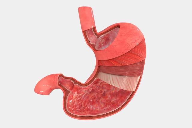 石榴立大功！新发现：石榴竟能在36小时清除50%的肠道“垃圾”