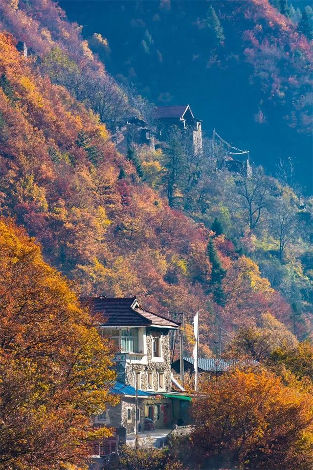 11月旅行地推荐！这13个赏秋地无对手，还藏着国内四大绝美秋色