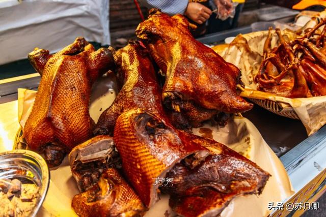 为了一只猴子！我从武汉跑去了贵阳！黔灵山的魅力不止是有猴子