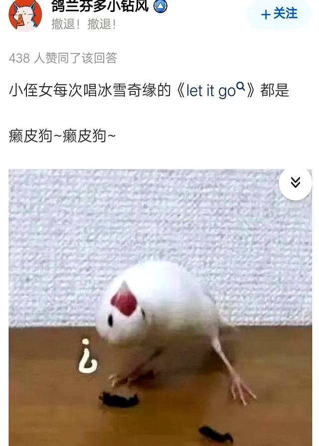 有哪些歌词被你听错了很久？