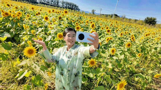 藏不住了！顺义秋日限定花海，安排——