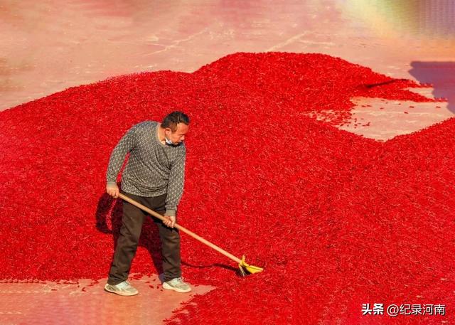 柘城：中国钻石之都辣椒之都全国文明城市